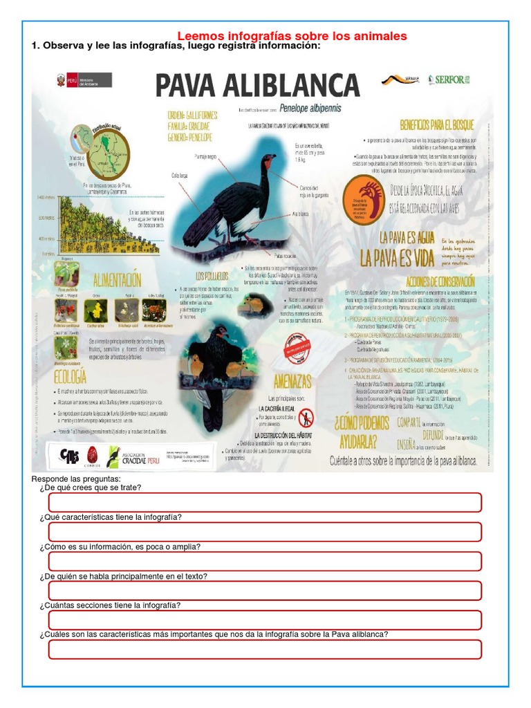 Infografía sobre la Pava Aliblanca | PDF | Artes del Lenguaje y ...