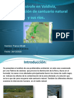 Catástrofe en Valdivia, Contaminación de Santuario Natural (Daño Por Celulosa Arauco)