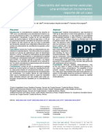 Colecistitis Del Remanente Vesicular Una Entidad en Incremento Reporte de Un Caso