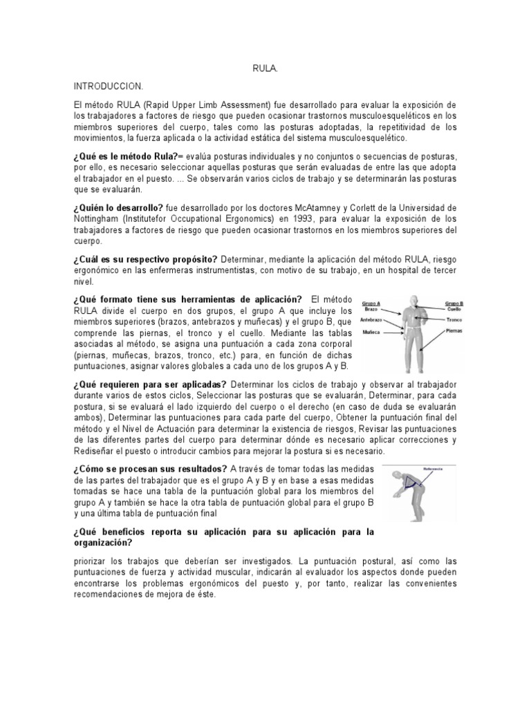 Evaluación Ergonómica con RULA | PDF | Factores humanos y ergonomía