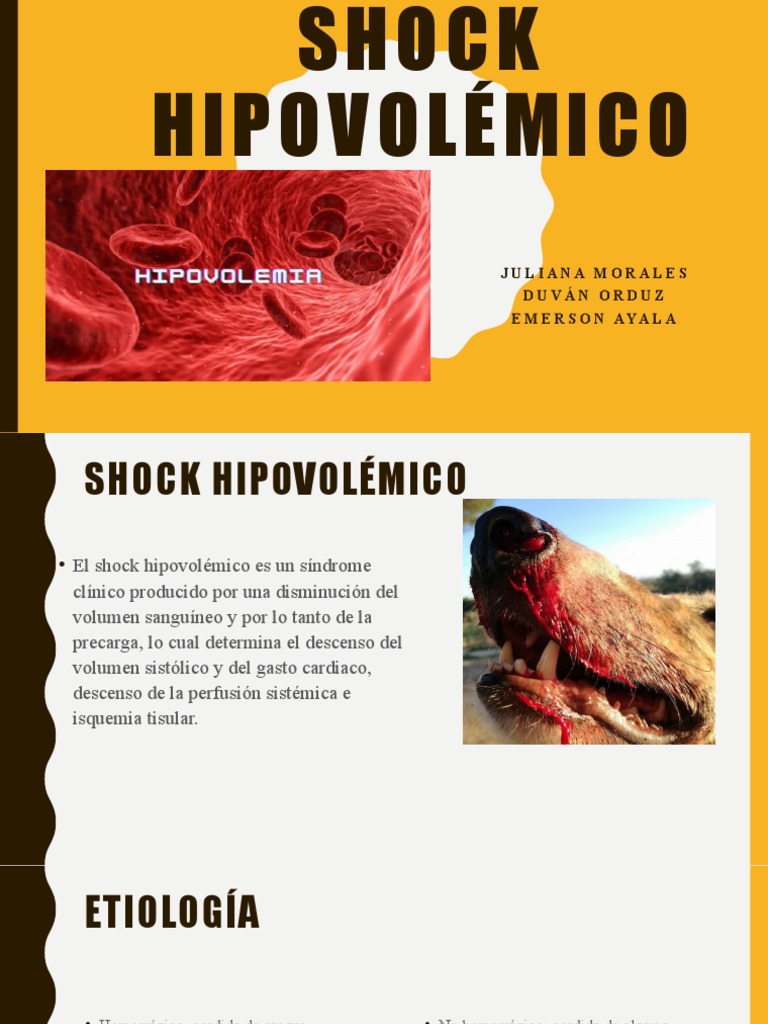 Shock Hipovolémico en Perros: Diagnóstico y Causas | PDF | Angiotensina ...