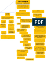 Anatomia Mapas Conceptuales