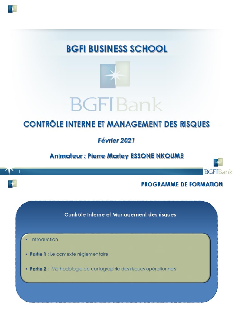 Contrôle interne et gestion des risques | PDF | Risque opérationnel ...