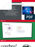 Introduccion A La Neurociencia