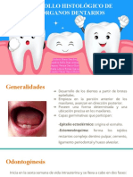 Desarrollo Histológico de Los Órganos Dentarios