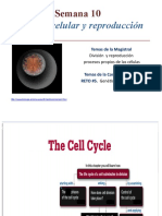 Introd Division Celular y Avance 21