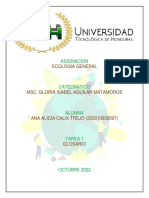 Tarea 1 - Glosario