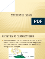 Nutrition in Plants Notes