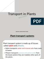 Transport in Plants PPT Notes