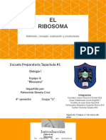 Ribosoma: Estructura y función clave en la síntesis de proteínas