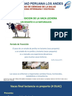 6 Vacas Transicion