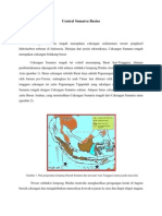 Central Sumatra Basins