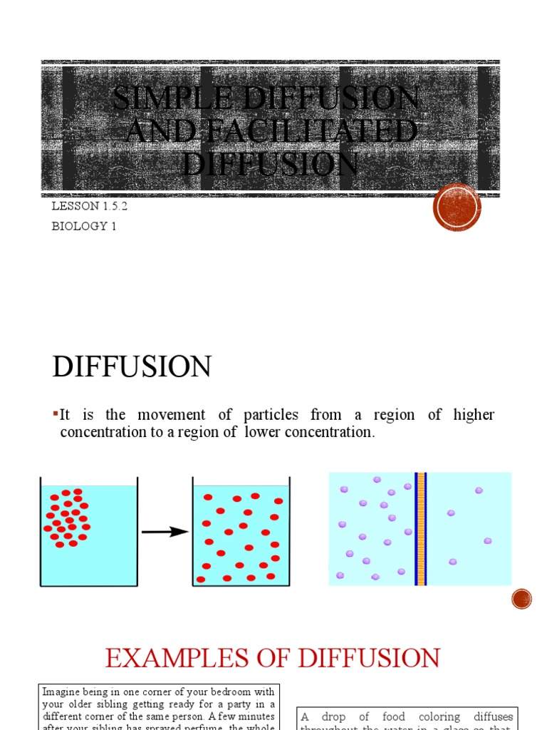 Simple and Facilitated Diffusion Explained | PDF | Diffusion | Cell ...
