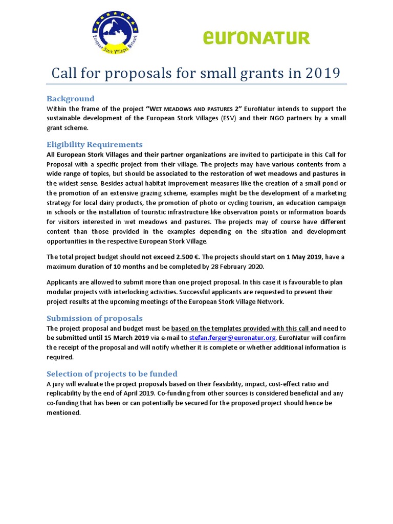 Small Grants - Call For Proposal 2019 | PDF