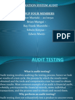 Audit Testing