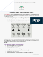 Ciclo Menstrual 2