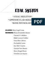 Skeletal System Breakdown