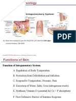 Anaphysio Integumentary System