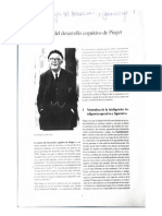 Teoría Del Desarrollo Cognitivo de Piaget