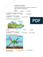 Cuestionario Dba de Ciencias Naturales