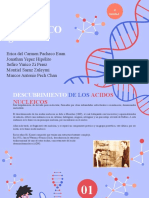 C4-Ti Montiel Saenz-Acidos Nucleicos