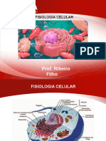 Fisiologia celular: estrutura e função das células