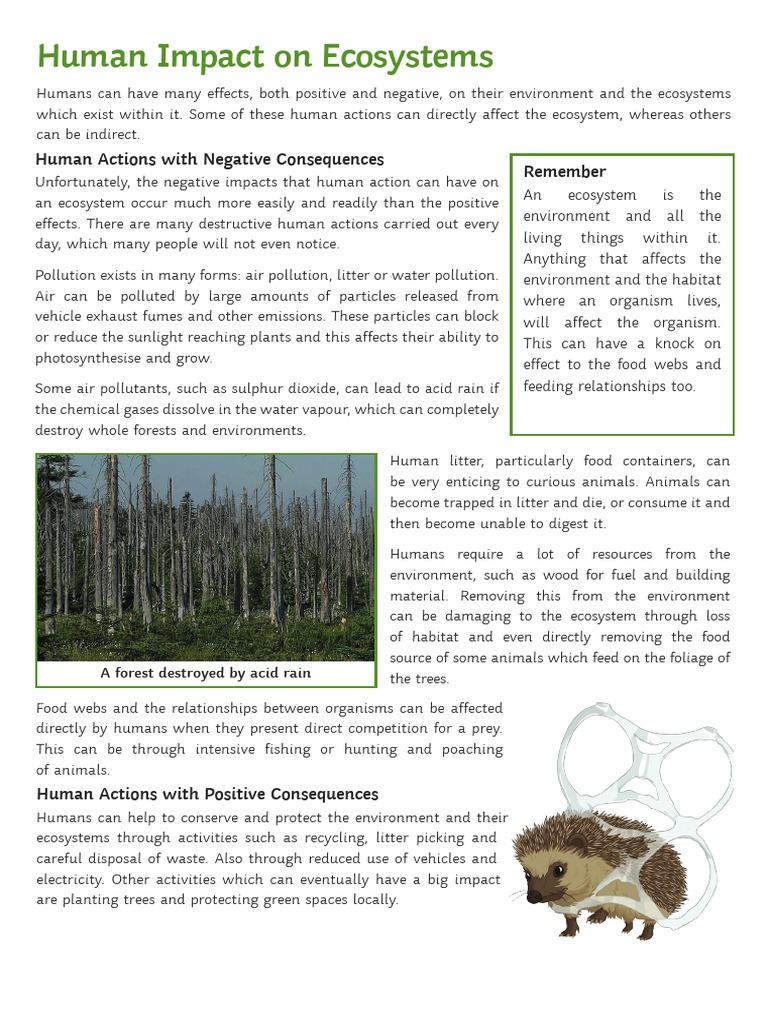 Human Impact on Ecosystems Explained | PDF | Natural Environment ...