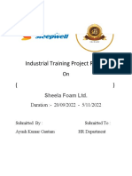 Industrial Training Project Report