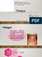 Pelaga