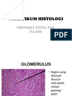 Slide Praktikum Histologi Epitel Dan Tulang