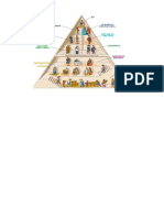 Piramide Del Absolutismo