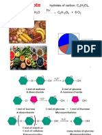 9 CARBOHYDRATE-online2021