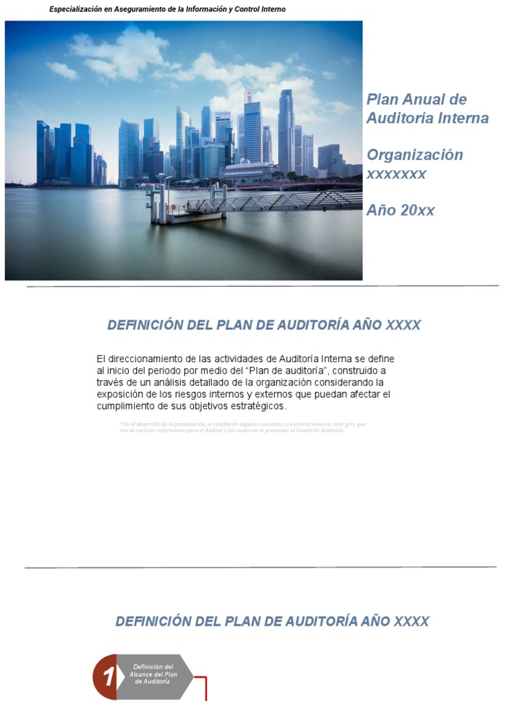 Plan Anual de Auditoría Interna 20xx | PDF | Auditoría | Economias