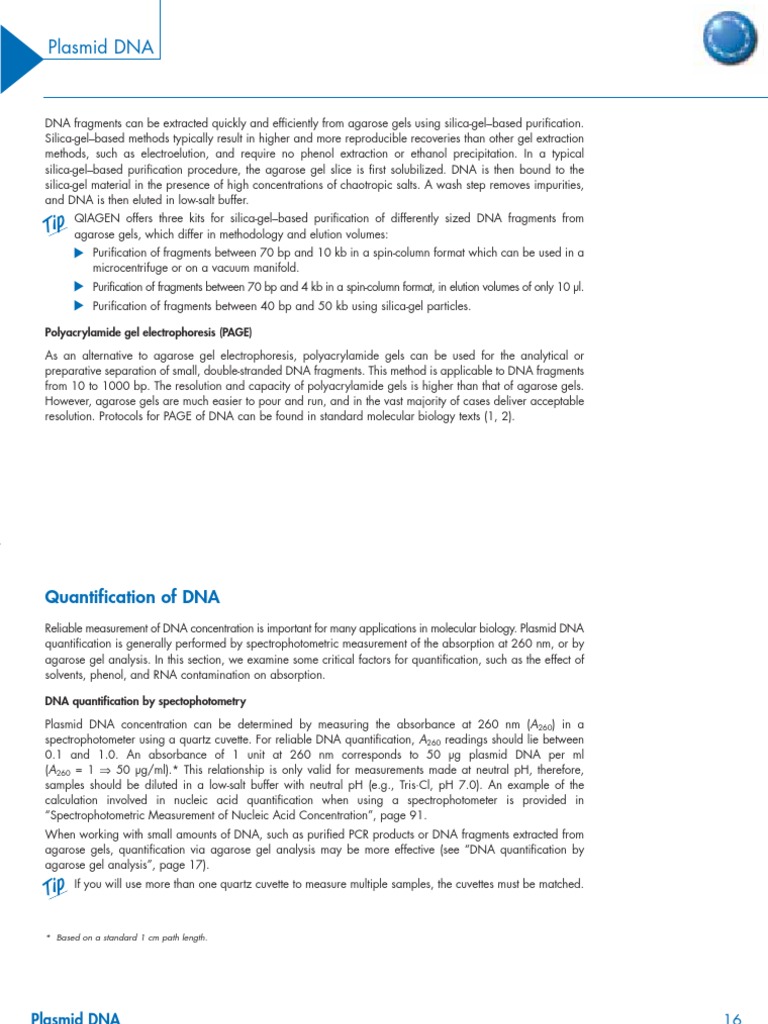 Plasmid DNA Quantification Methods | PDF | Restriction Enzyme | Gel ...