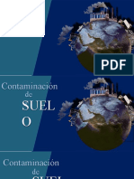 Contaminacion Del Suelo.