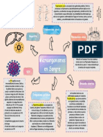 Microorganismos en Sangre