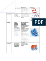 Estructuras de Las Proteinas