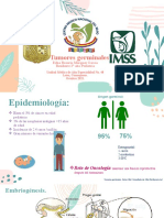 Tumores germinales: Guía completa
