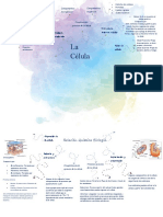 Bioquimica Mapa Mental