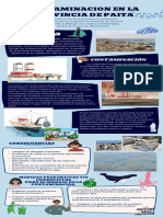 Infografía Sobre La Contaminacion en Paita