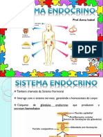 Sistema Endócrino - Ok