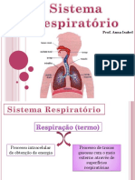 Sistema Respiratório - Ok