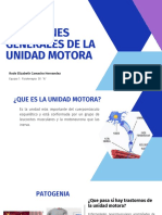 Reacciones Generales de La Unidad Motora