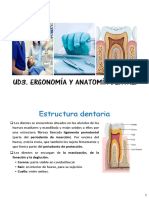 UD3 Ergonomía y Anatomía Dental