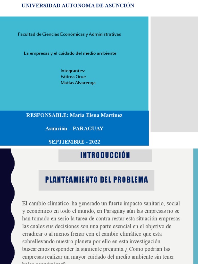 Las empresas y su responsabilidad en la protección del medio ambiente ...