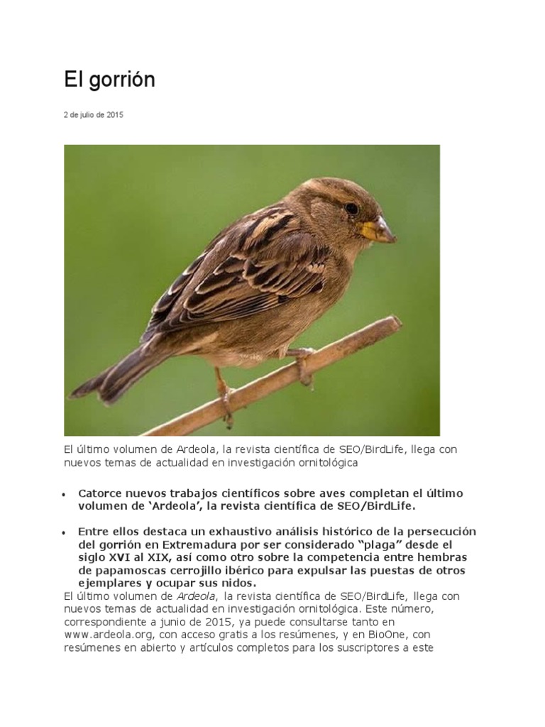 Historia del gorrión en Extremadura | PDF | Aves | Ornitología