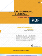 Sesión 7 Comercial y Laboral