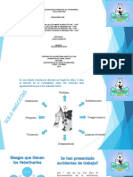 Cartilla de Riesgo Biol Gico Final PDF
