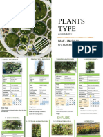 Plants Type