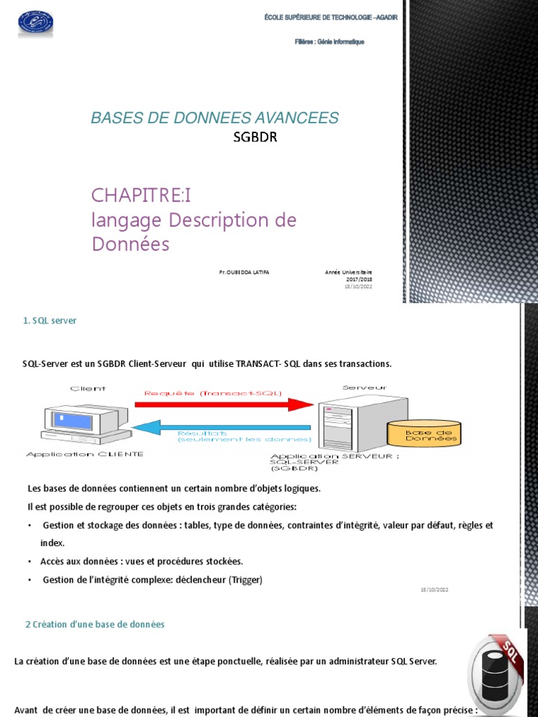 Guide SQL pour Bases de Données | PDF | Microsoft SQL Server | Application